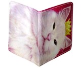 Novelty Condom Cases