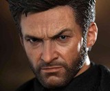 Wolverine Sixth Scale Figure