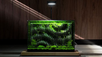 TerraLiving Preserved Moss Terrariums