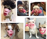 Human Face Dog Masks