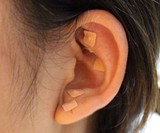 Anxiety Ear Seed Kit