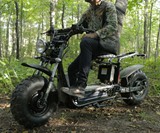 The Beast D Off-Road Scooter