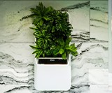 Respira Smart Garden - Hydroponic Plant Air Purifier
