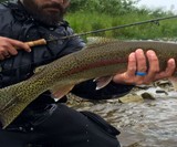 Groove Silicone Active Rings