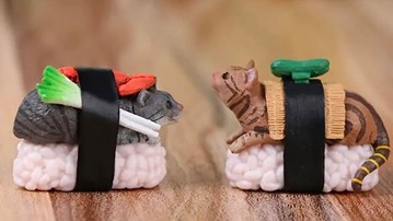 Sushi Cat Keychains Sushi Cat Keychains