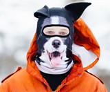 Animal Ski Masks