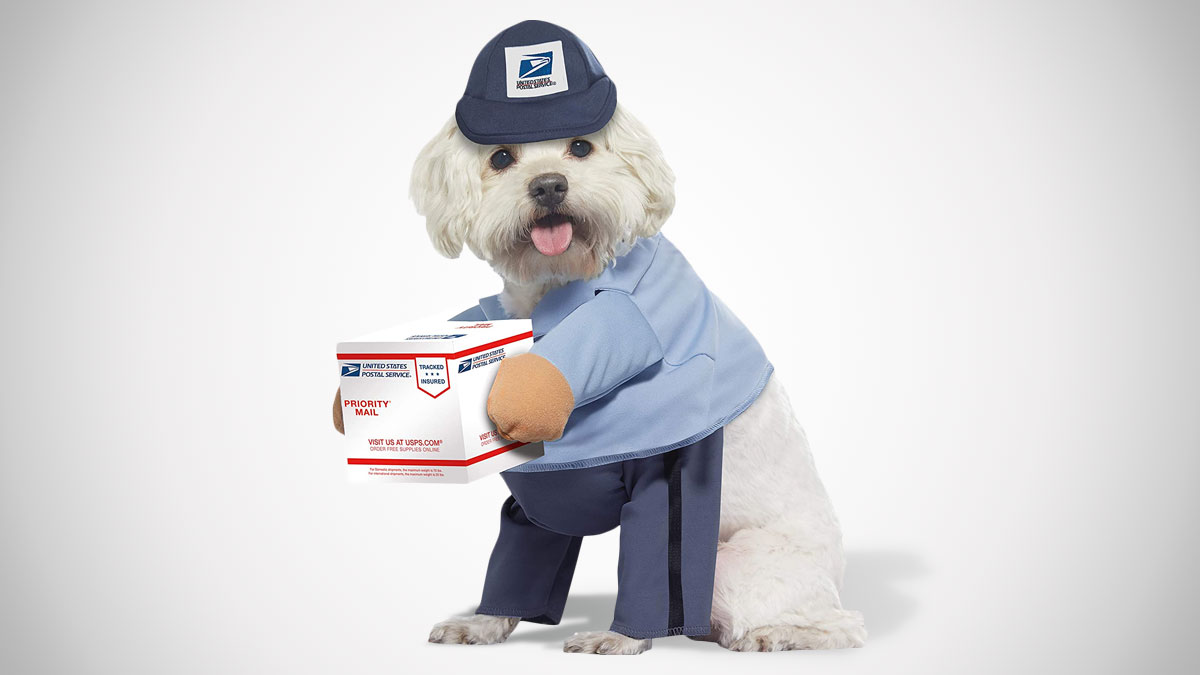 USPS Mail Carrier Dog Costume USPS Mail Carrier Dog Costume