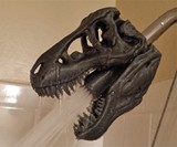 T-Rex Skull Shower Head