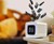 SensorWake Smell-Based Alarm Clock