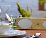 Soundfreq Double Spot Speaker