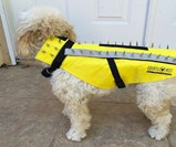 Coyote Vest Pet Body Armor