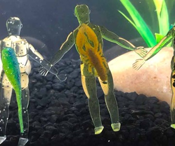 Citizen Bones Humanoid Fishing Lures