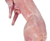 Fresh Whole Rabbit