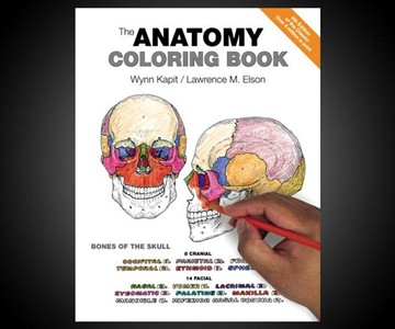 The Anatomy Coloring Book The Anatomy Coloring Book