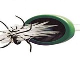 My Critter Catcher - Spider & Insect Catcher