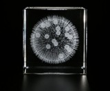 Sola Cube Micro