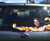 Flexing Arnold Read Window Wiper Decal