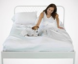 Sheets & Giggles Eucalyptus Lyocell Sheets