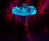 Mushlume UFO Bioluminescent Display