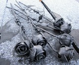 Steel Roses