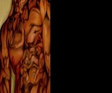 Roustan Body Paint Photo Book (NSFW)