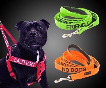 Dog & Cat Temperament Leashes & Collars Dog & Cat Temperament Leashes & Collars