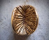 Edible Anus Chocolates