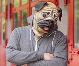 Pug Mask