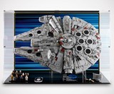 Wicked Brick LEGO Display Cases