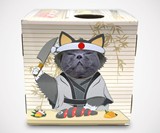 DoyenCat Sushi Chef FunBox with Scratching Board