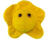 Giant Microbes Heart Burned Gift Box