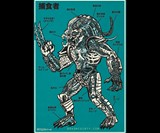 Predator Anatomy Print