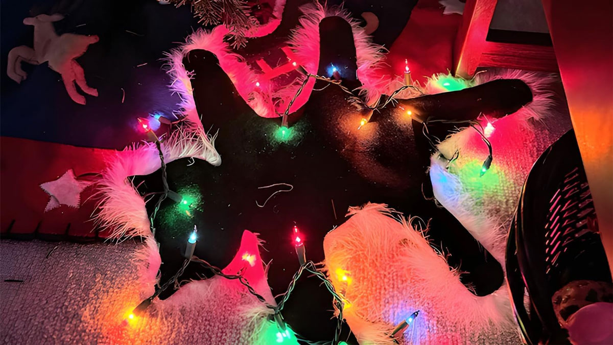 Christmas Vacation Light Up Fried Cat Rug Christmas Vacation Light Up Fried Cat Rug