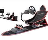 Professional Racing Simulators