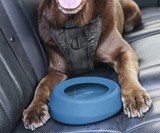 Kurgo No-Spill Travel Dog Water Bowl