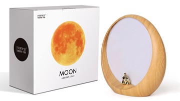Lovers Under the Moon Lamp