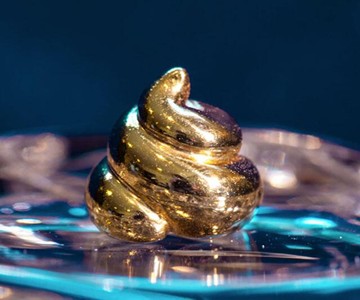 Lucky Golden Poo