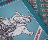 Mouse Taxidermy Kit