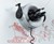 Scribit Write & Erase Robot