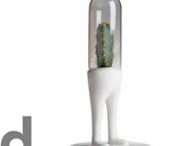 Domsai Terrariums-9709