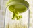 Hang on for Dear Life Storage Jars