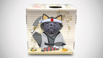 DoyenCat Sushi Chef FunBox with Scratching Board