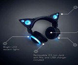 Cat Ear Headphones