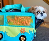 Scooby-Doo Mystery Machine Pet Carrier