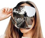 Full Face Mirror Sunglasses