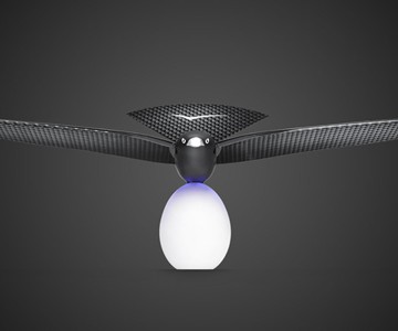 Bionic Bird: The Furtive Drone Bionic Bird: The Furtive Drone