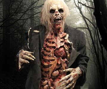 Movie Quality Zombie Costume