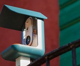 Bird Buddy Smart Bird Feeder with Built-In Camera