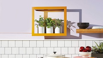 Modern Sprout Growframes - Wall-Mounted Grow Lights Modern Sprout Growframes - Wall-Mounted Grow Lights