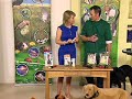 Electric Flea Zapper for Pets